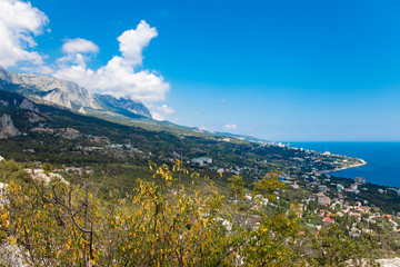 Aerial summer sunny day city landscape view