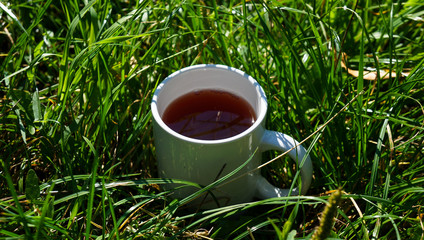 Сup of tea on grass