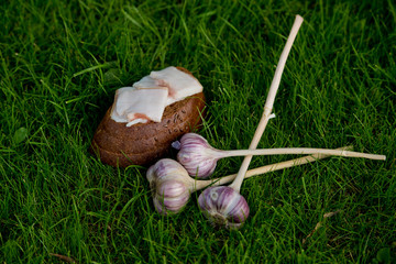 Garlic, lard and bread on a grass background.