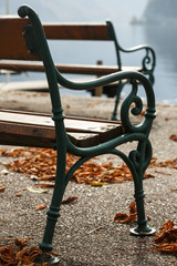 beautiful autumn background