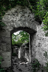 Fototapeta na wymiar Mystic Door Of Decayed Building Overgrown By Ivy