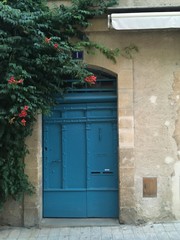 Porte bleue fleurie