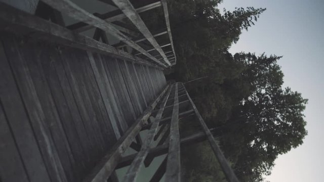 &Uuml;berqueren einer Holzbr&uuml;cke in der Natur im Vortex Modus