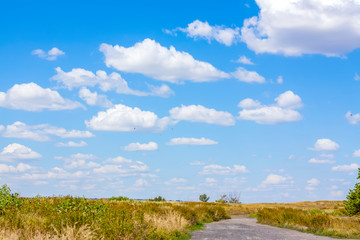Fototapeta na wymiar A road in a rural area. Landscape with beautiful sky and road.