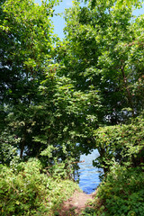Seine river bank near Fontaine-le-Port village in Seine et Marne