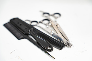 Manny Combs and scissors with a piece of hair on the white space.