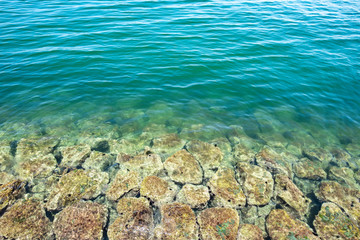 防波堤から覗く眺めがウニやその他の生き物と海水の碧いグラデーションと並んで美しい夏の南の海の風景。