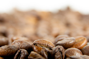 Detail of brown coffee beans on white background