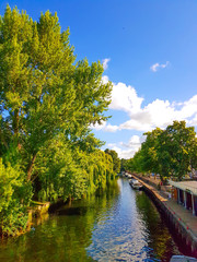 River in the park