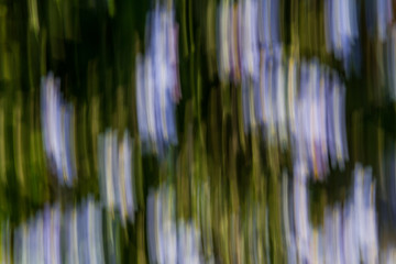 Close up. Blurred motion  flowerbeds, abstract background image.  Black, blue and  green  flowers background. 