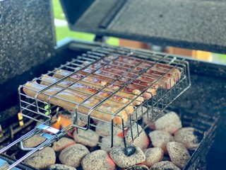 grilled meat on the grill