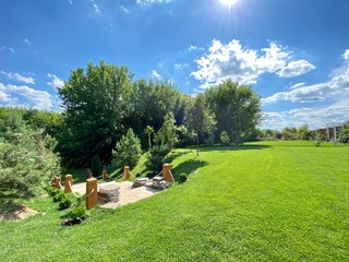 garden in the summer