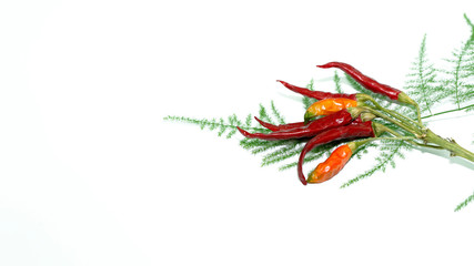 red, hot and dry peppers
