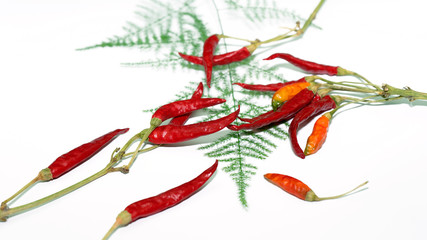 red, hot and dry peppers