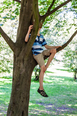 Boy sitting up in the tree during summer