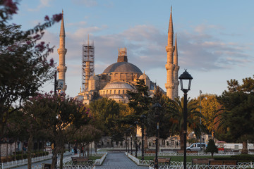 Obraz premium Istanbul Turkey, view of the Blue mosque.