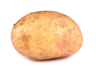 Young potato isolated on white background.