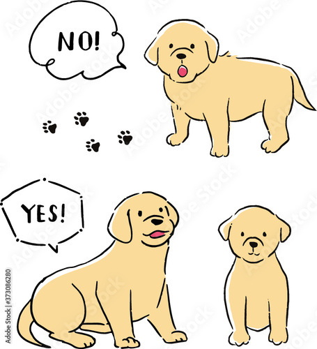 ラブラドールレトリバーのベクターイラストセット Animal Wall Mural Anim あこ