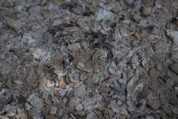 ash texture background