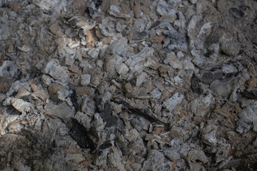 texture of the ash