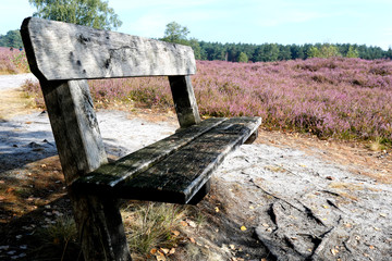 Heideflaechen am Wietzer Berg, Loens Stein, Denkmal, Mueden, Niedersachsen, Deutschland, Europa