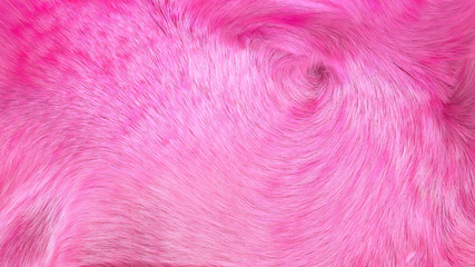 Obraz premium pink fur texture