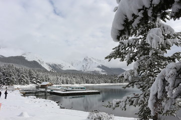 Maligne Lake - Alberta Canada