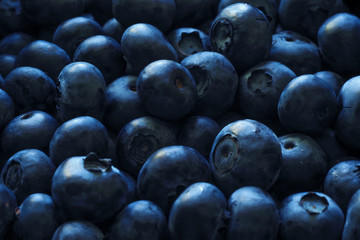 Blueberries abound as texture and background. Berries and vitamins