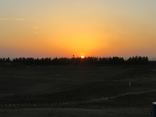 sunset sunrise behind the trees sujawal field