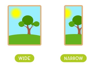Antonyms concept, WIDE and NARROW. Educational flash card with paintings of landscapes of different widths template. Word card for english language learning with opposites. Flat vector illustration