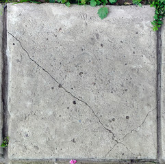 Cracked large concrete tiles on the garden path.