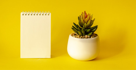 Blank desktop notebook with cactus pot on a yellow background
