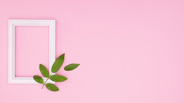 Green leaf falling next to white romantic frame on pink theme. Stop motion 