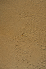 sand beach in La Barrosa, Sancti Petri, Cadiz, Spain