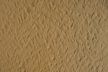 sand beach in La Barrosa, Sancti Petri, Cadiz, Spain