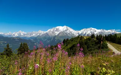 Photo sur Plexiglas Mont Blanc Mont-Blanc