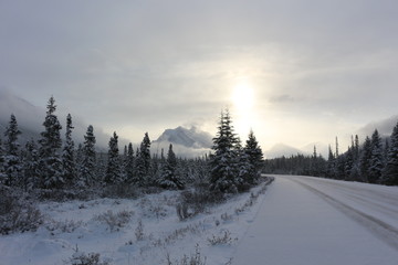 Obraz premium Icefields parkway - Alberta Canada