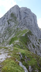 Admonter Reichenstein