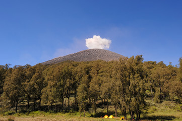 Mount Semeru is puffing volcanic ash on a clear morning—Mount Semeru is located in East Java, Indonesia.