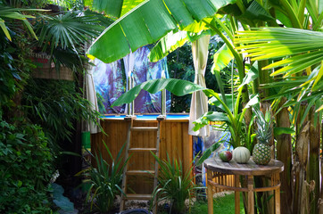 Tropischer Garten mit Swimmingpool