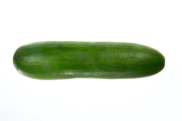 Dark smooth cucumber in dew