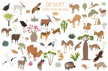 Desert biome, xeric shrubland biome, natural region infographic. Terrestrial ecosystem world map. Animals, birds and vegetations isometric design set