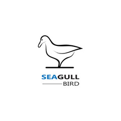 Seagull  Bird logo icon  vector designs