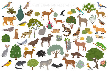 Obraz premium Mediterranean vegetation biome, natural region infographic. Terrestrial ecosystem world map. Animals, birds and vegetations design set