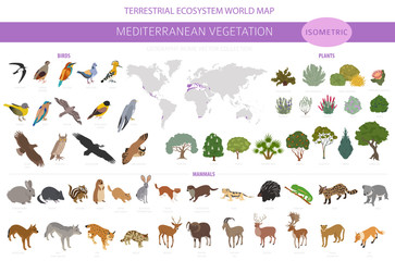 Mediterranean vegetation biome, natural region infographic. Terrestrial ecosystem world map. Animals, birds and vegetations isometric design set © a7880ss
