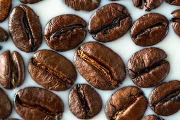 Roasted coffee beans on white milk background. Coffee beans in milk. Top view macro shot of...
