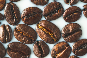 Roasted coffee beans on white milk background. Coffee beans in milk. Top view macro shot of...