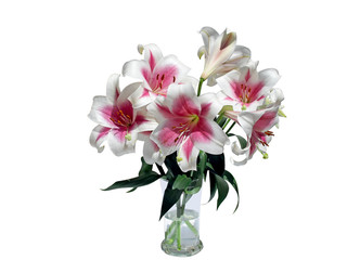 Naklejka na ściany i meble Ramo flores de lirio rosa y blano en florero de vidrio sobre fondo blanco