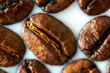 Roasted coffee beans on white milk background. Coffee beans in milk. Top view macro shot of arabica, robusta and iberica coffee seeds. 