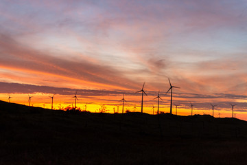 Entardecer no parque eólico produzindo energias limpa